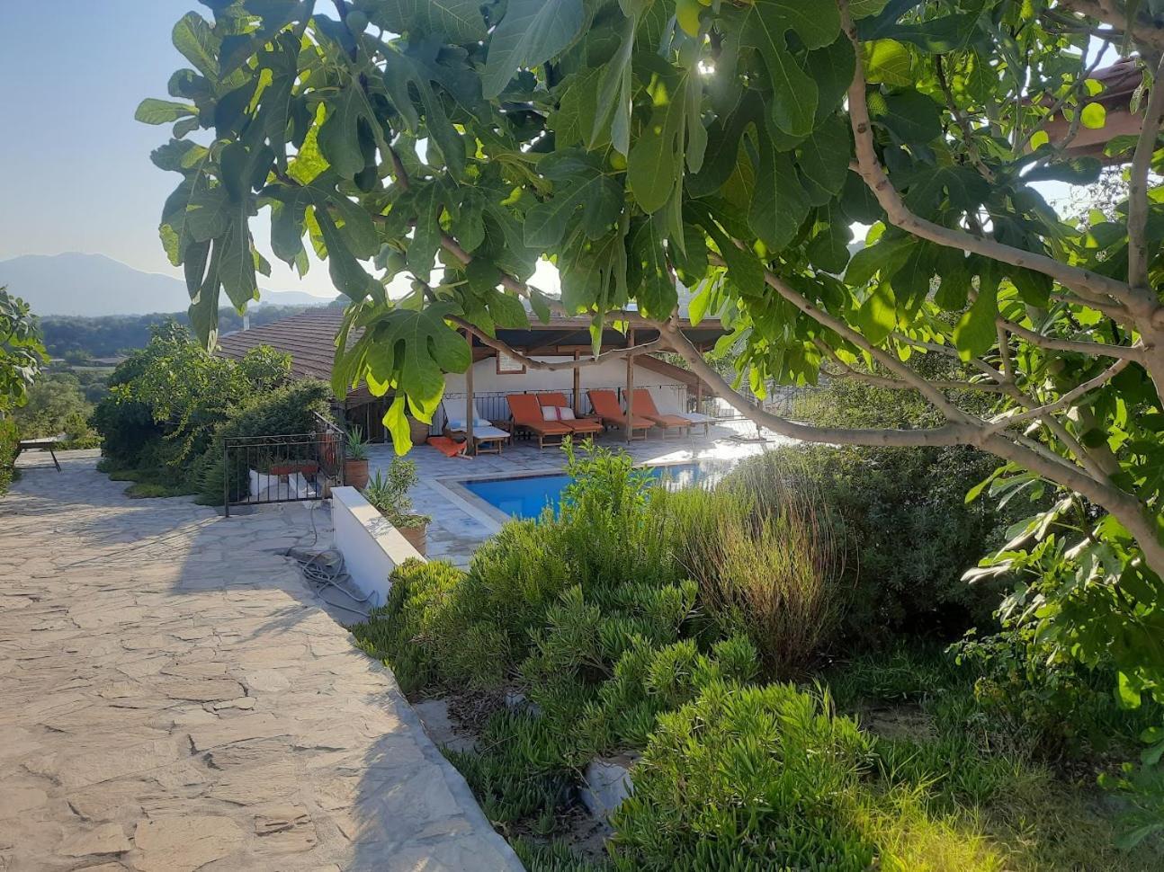 Ionia Guest House Aydin Luaran gambar
