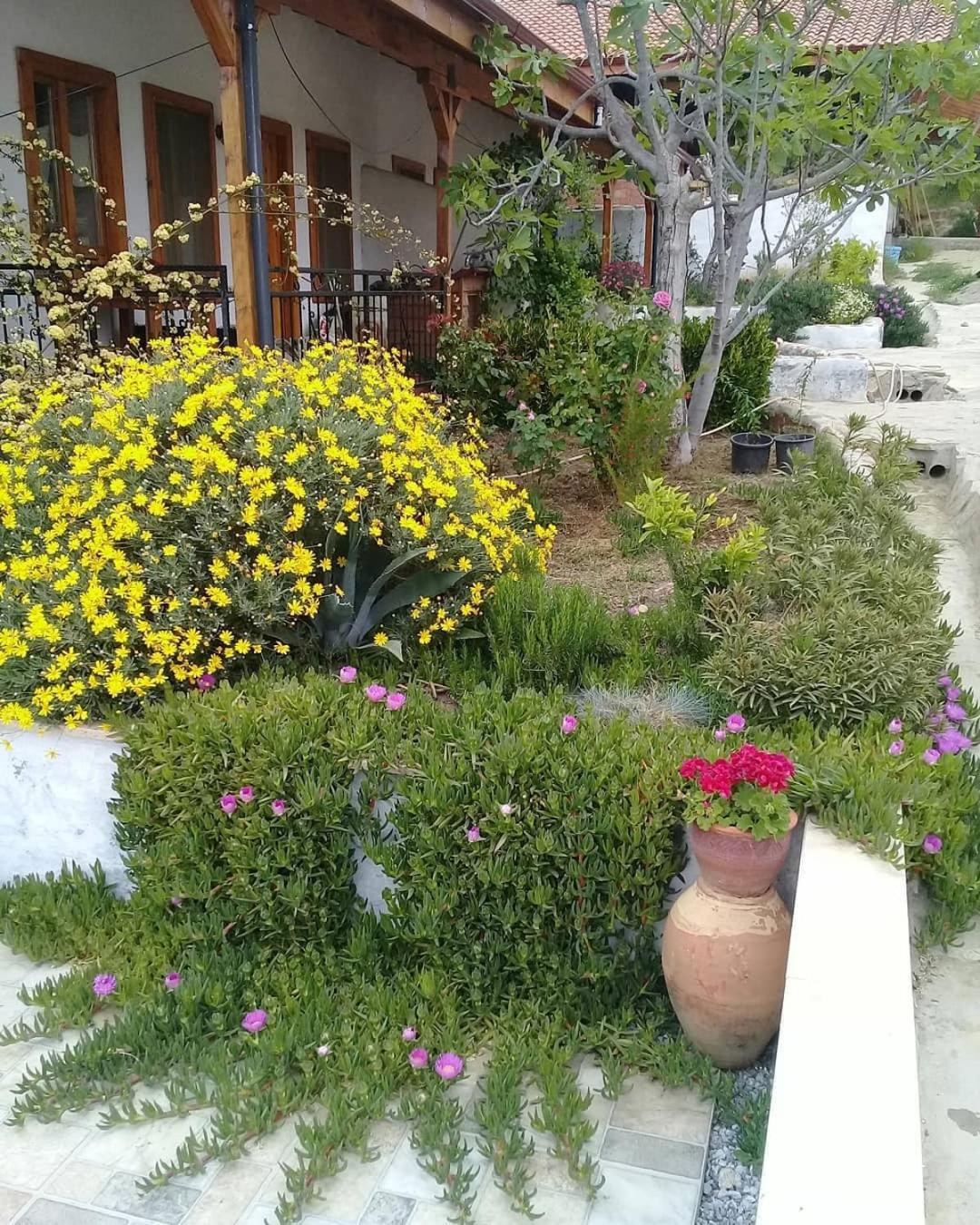 Ionia Guest House Aydin Luaran gambar