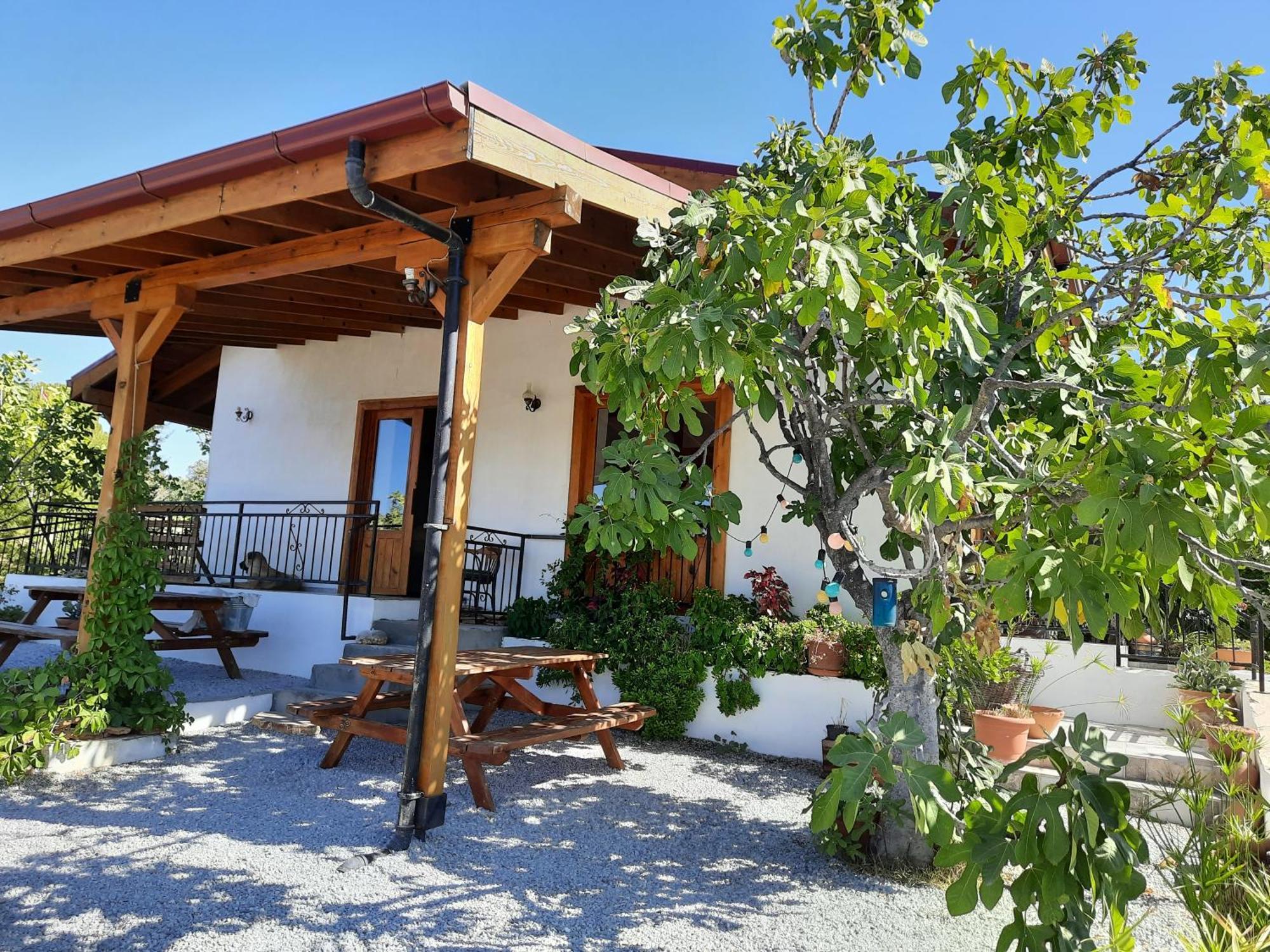 Ionia Guest House Aydin Luaran gambar
