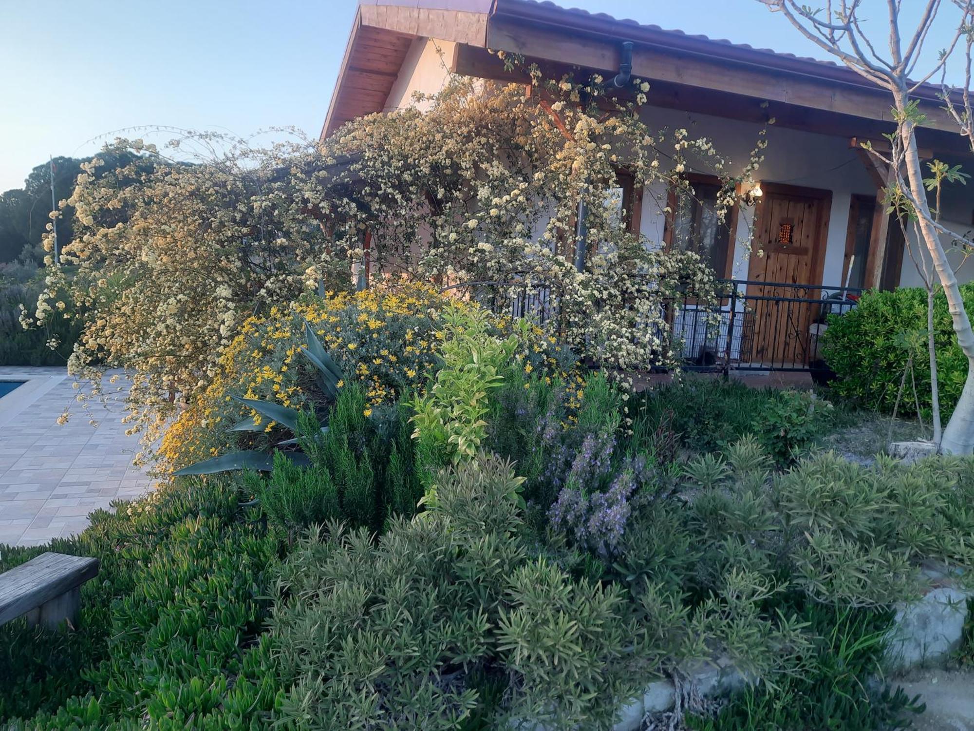Ionia Guest House Aydin Luaran gambar