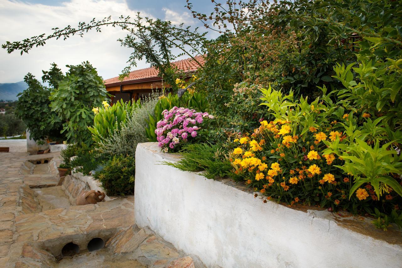 Ionia Guest House Aydin Luaran gambar
